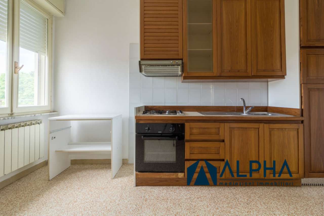 Appartamento MELDOLA vendita   Giuseppe Mazzini Alpha immobiliare srl