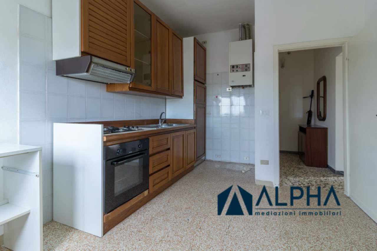 Appartamento MELDOLA vendita   Giuseppe Mazzini Alpha immobiliare srl