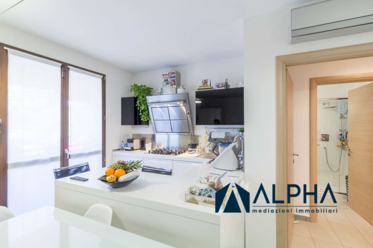 Appartamento BERTINORO vendita   Tro Meldola Alpha immobiliare srl