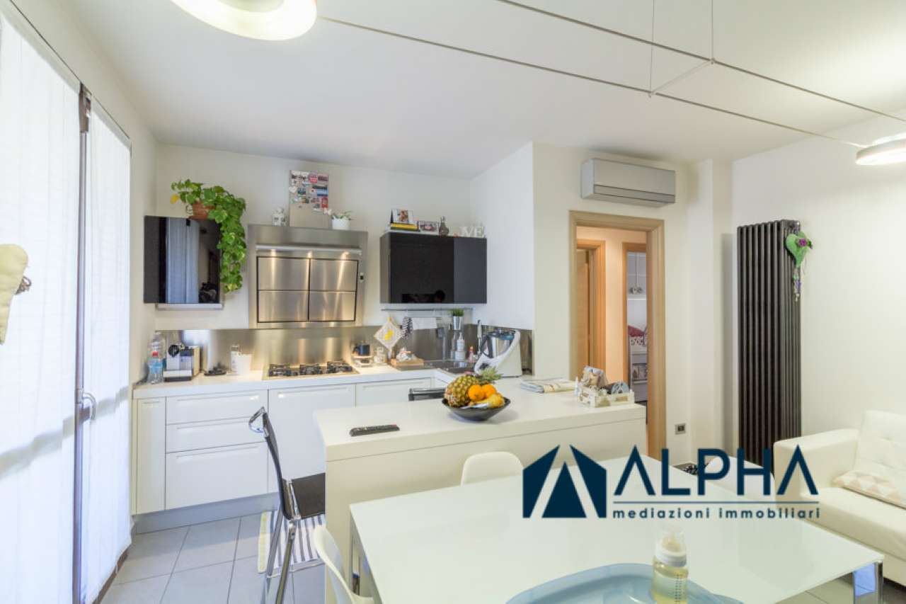 Appartamento BERTINORO vendita   Tro Meldola Alpha immobiliare srl