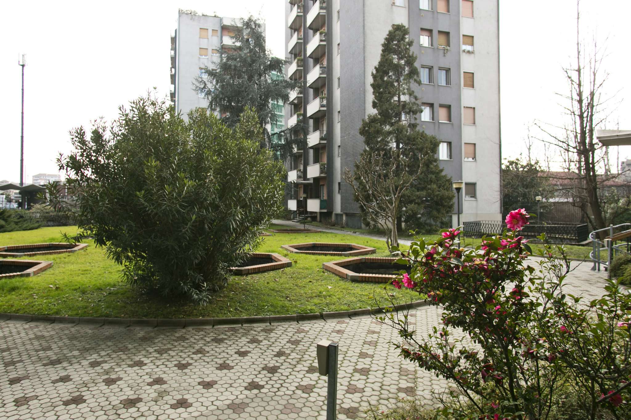 Appartamento MILANO vendita  CIMIANO PADOVA Unicimiano s.a.s.