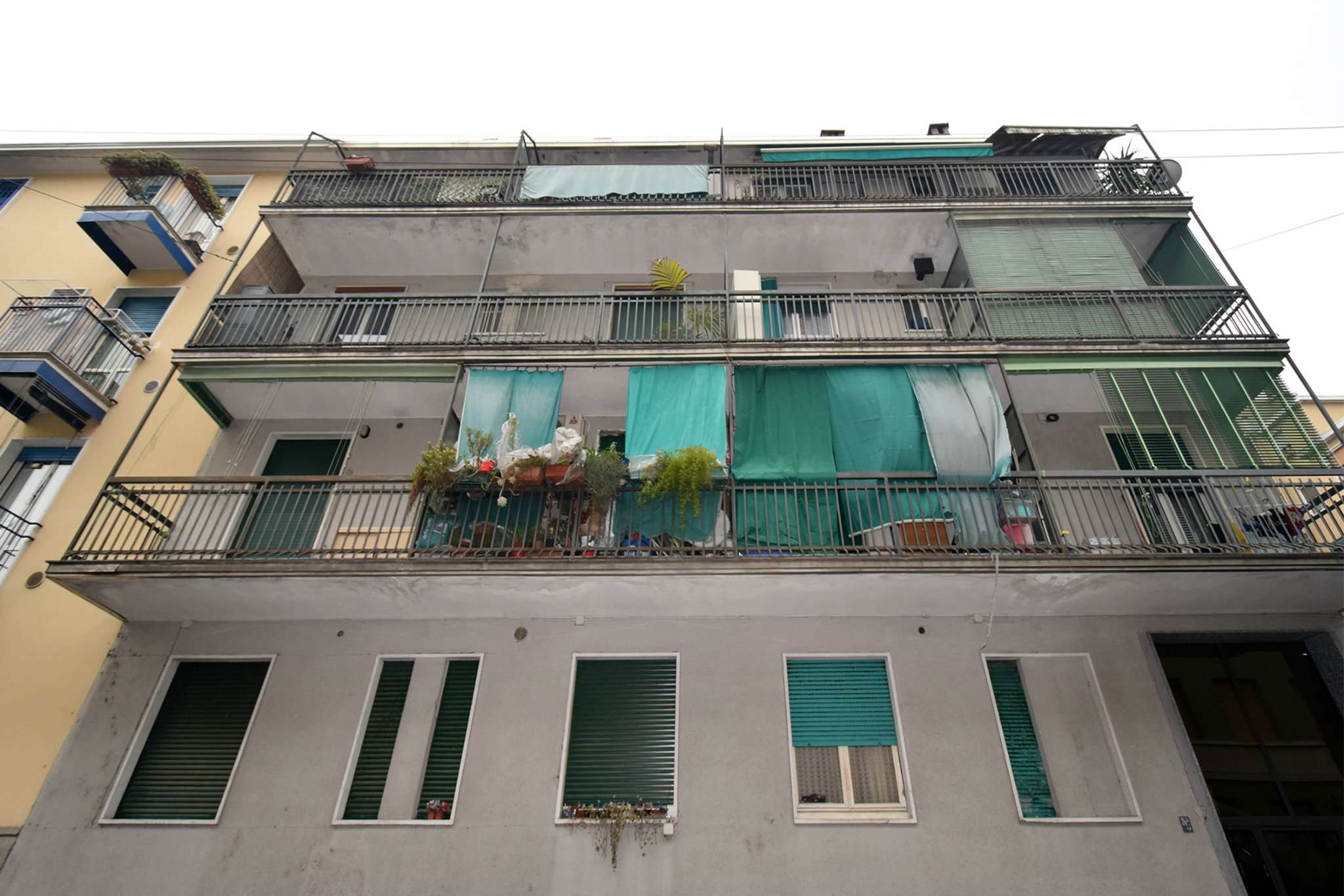 Appartamento MILANO vendita  CIMIANO Salmeggia Unicimiano s.a.s.