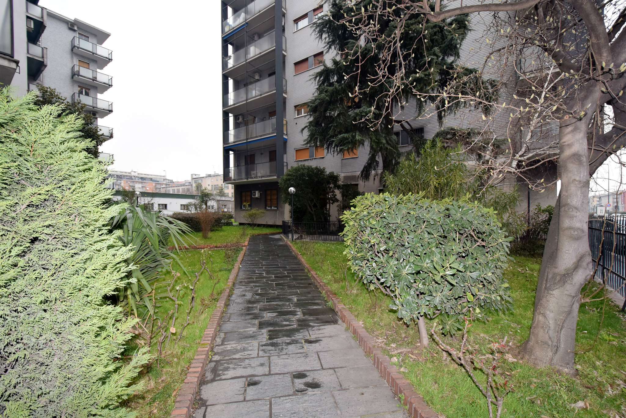 Appartamento MILANO vendita  CIMIANO Palmanova Unicimiano s.a.s.
