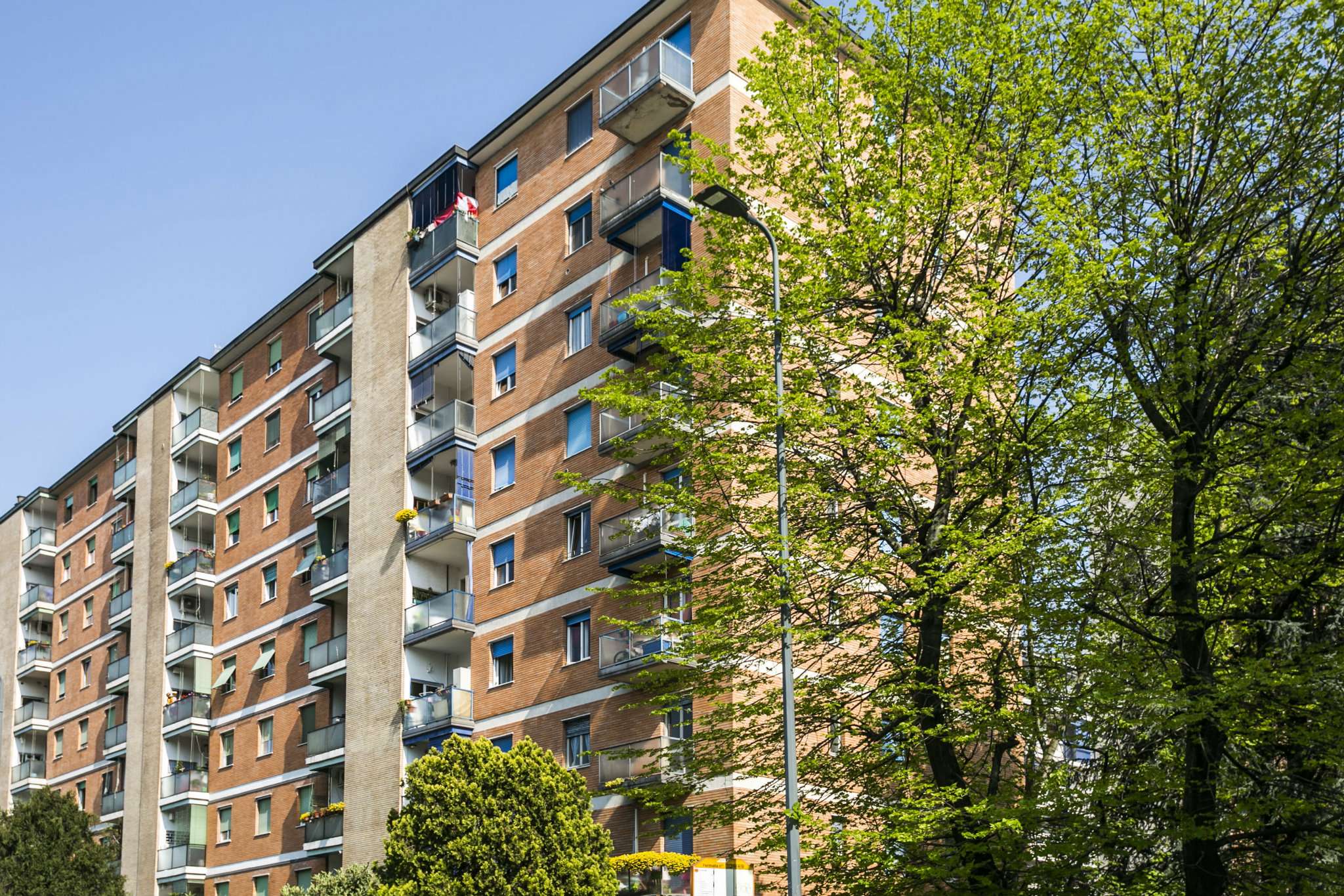 Appartamento MILANO vendita  CIMIANO Picco Unicimiano s.a.s.