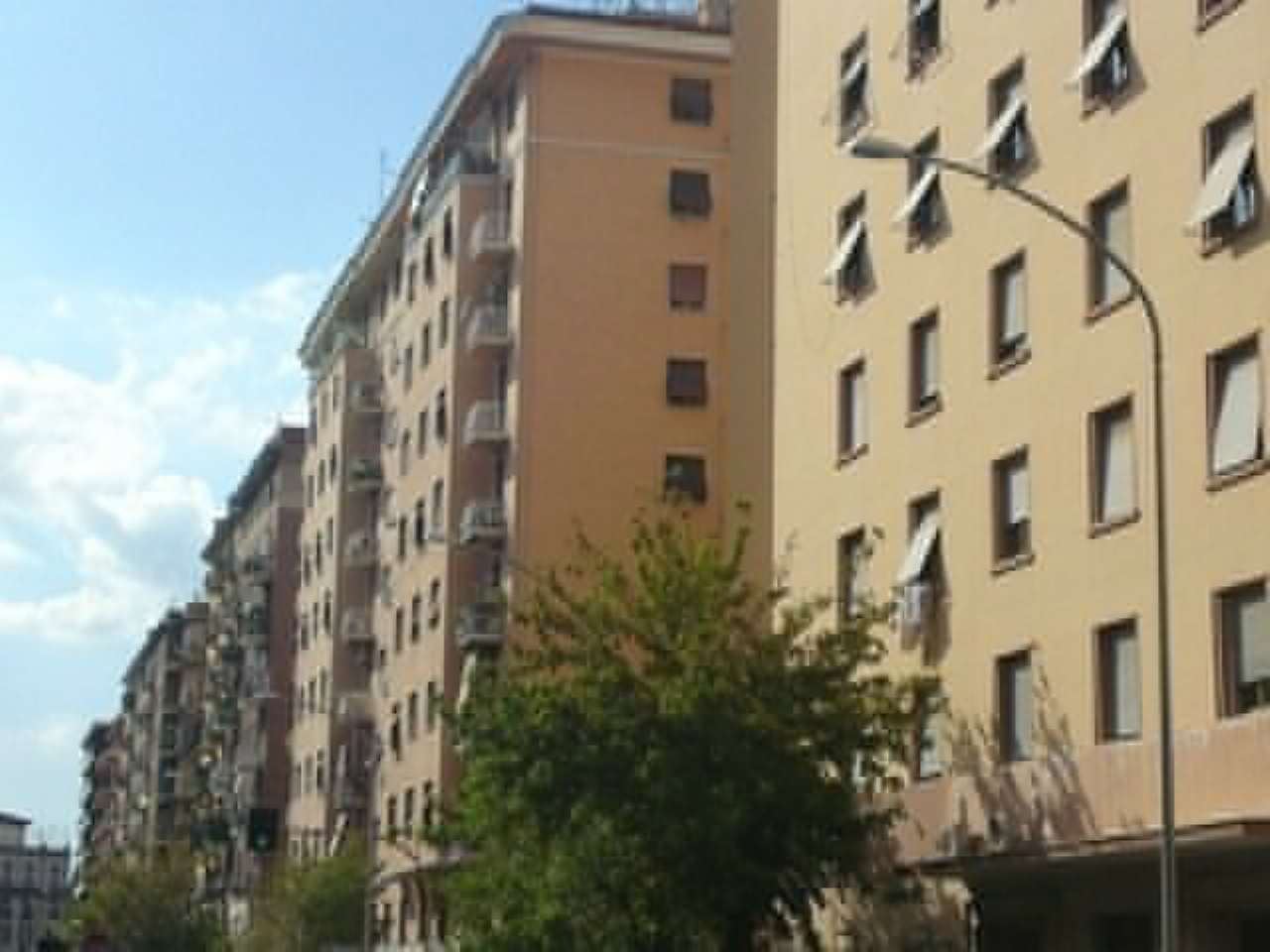 Appartamento ROMA affitto  COLLI ALBANI delle Cave GABETTI AGENZIA COLLI ALBANI TUSCOLANA