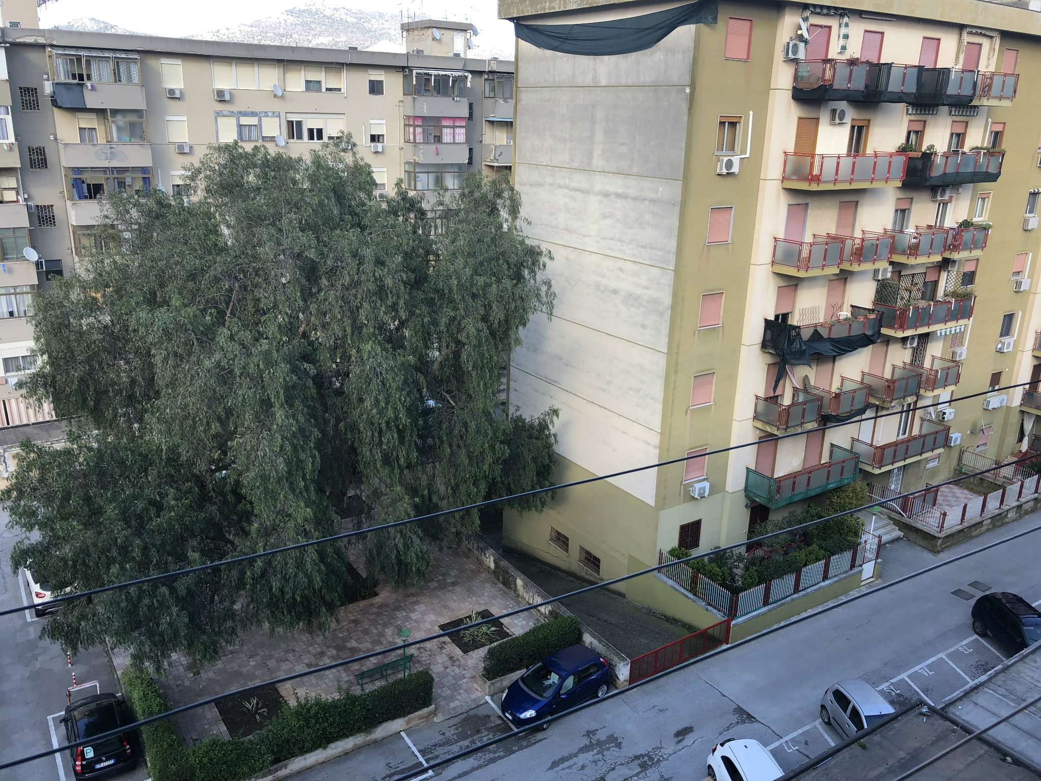 Appartamento PALERMO vendita  PASSO DI RIGANO  GIACOMO BESIO Linea Casa Group - Studio Viale Lazio