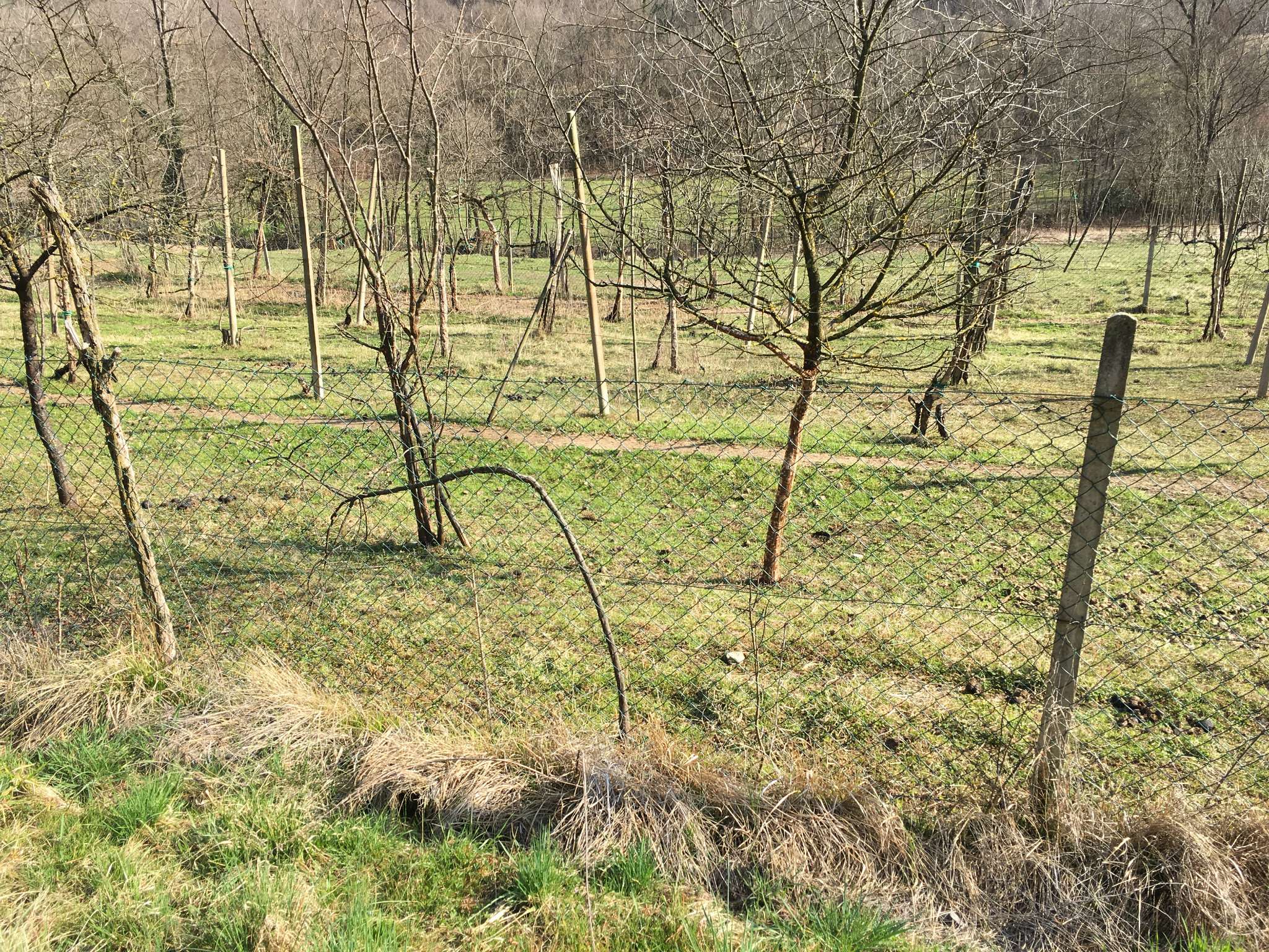 Appartamento TARZO vendita    C'è - Casa