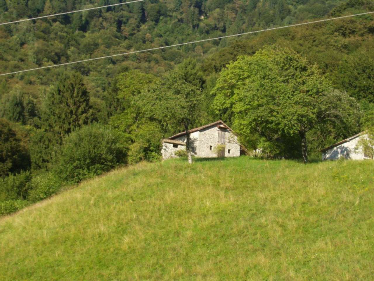 Appartamento CISON DI VALMARINO vendita    C'è - Casa