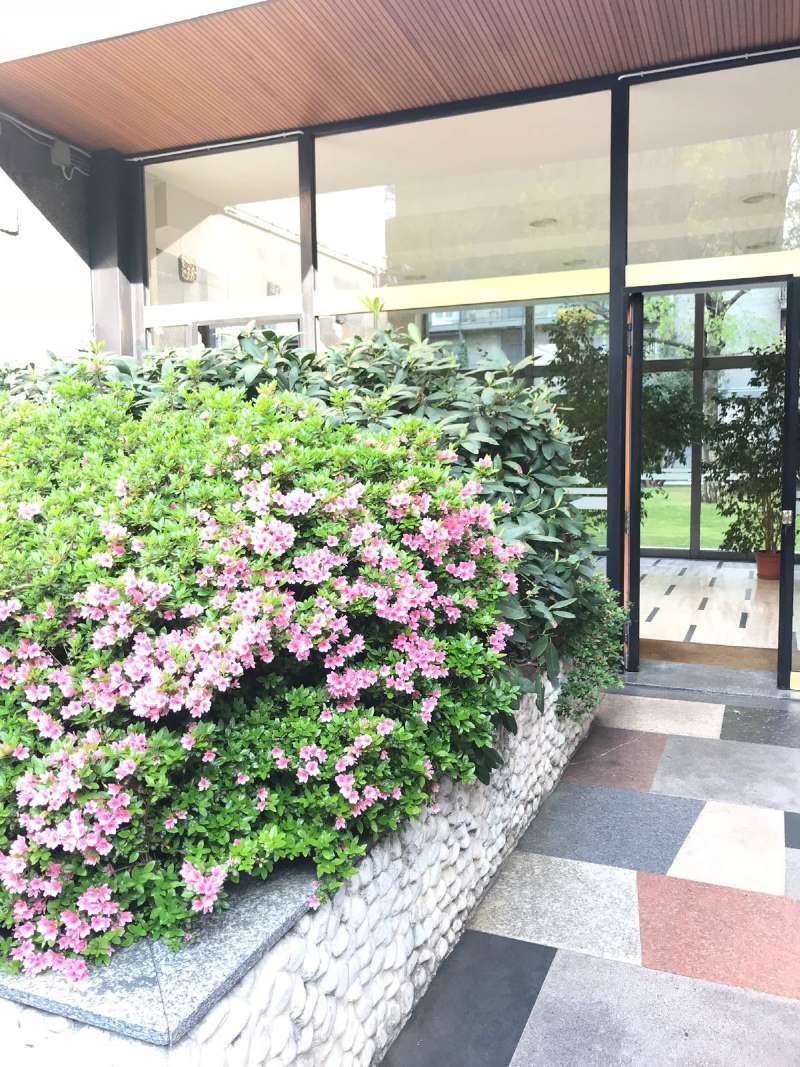 Appartamento MILANO affitto  DE ANGELI Zandonai Penta Real Estate Srl