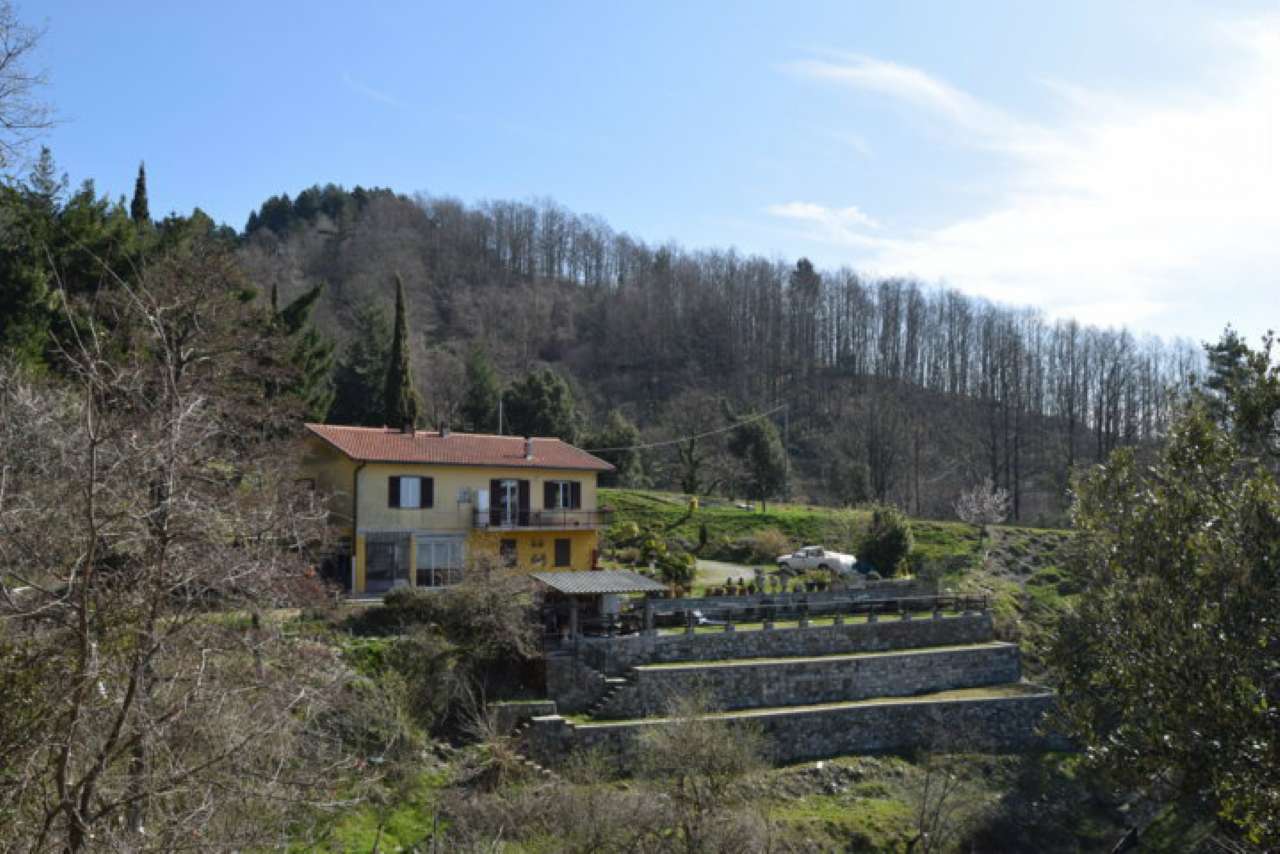 Villa Unifamiliare - Indipendente CASTIGLIONE CHIAVARESE vendita   Località Casetta Top Business