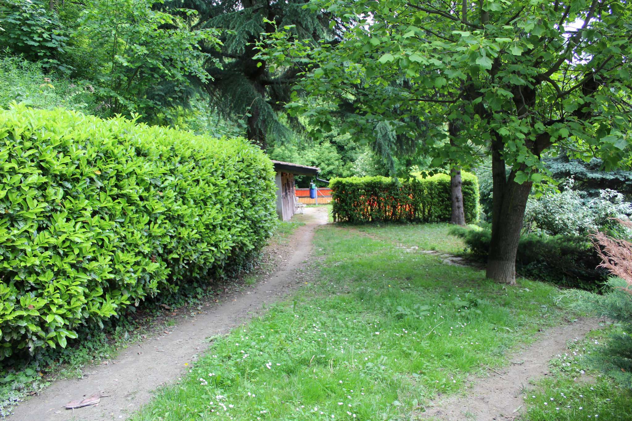 Villa Quadrifamiliare SAN RAFFAELE CIMENA vendita   Pragelato ProHouse