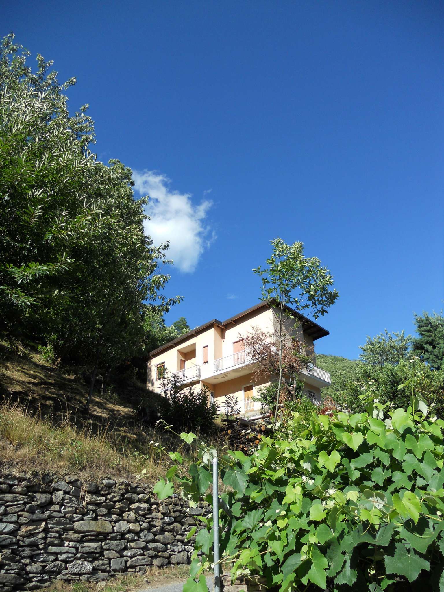 Villa Unifamiliare - Indipendente VILLAR PELLICE vendita   Borgata Cavion Villa MB Immobiliare