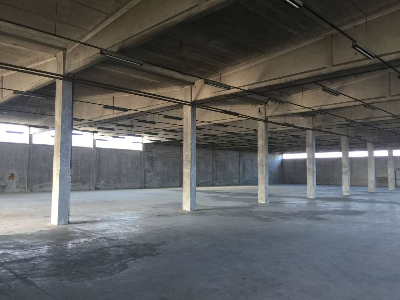 Capannoni (Tutti) PIACENZA affitto   batolomeo Gabetti Piacenza - Abitare 360 Srl