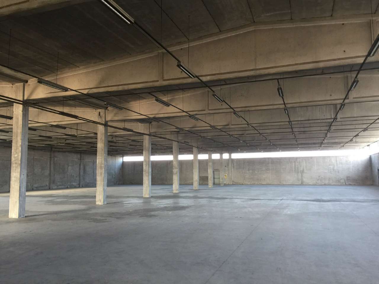 Capannoni (Tutti) PIACENZA affitto   batolomeo Gabetti Piacenza - Abitare 360 Srl