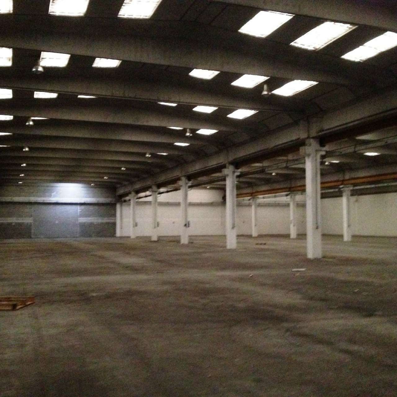 Capannoni (Tutti) PIACENZA vendita   pancotti Gabetti Piacenza - Abitare 360 Srl