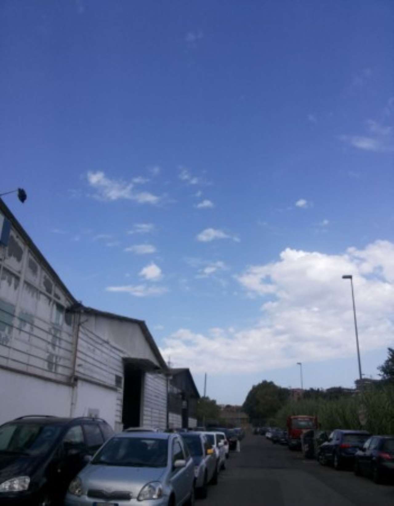 Capannoni (Tutti) ROMA affitto  MAGLIANA VECCHIA (ZONA DELLA XV MUN.) IDROVORE DELLA MAGLIANA Building&Money