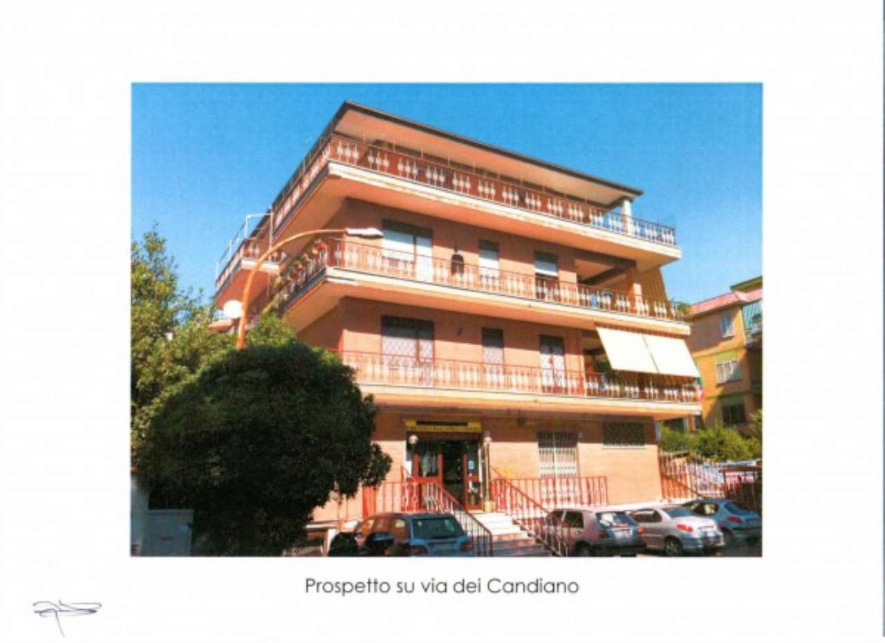 Negozio - Loc.Com. ROMA vendita  CASETTA MATTEI dei Candiano Building&Money