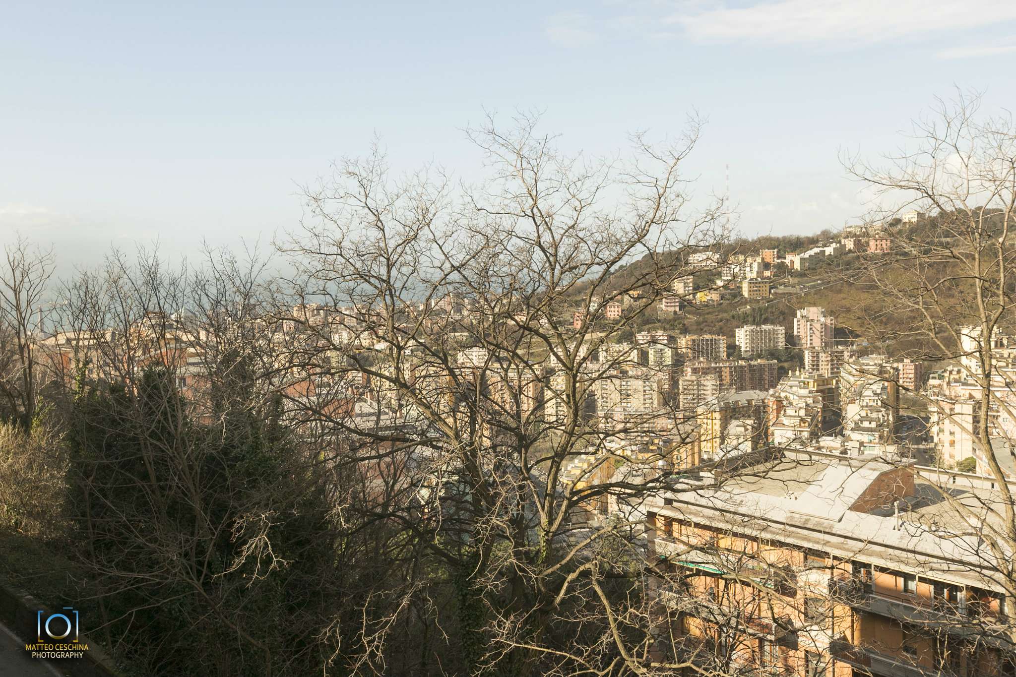 Appartamento GENOVA vendita  OREGINA Balestrazzi Nuova Oregina Sas