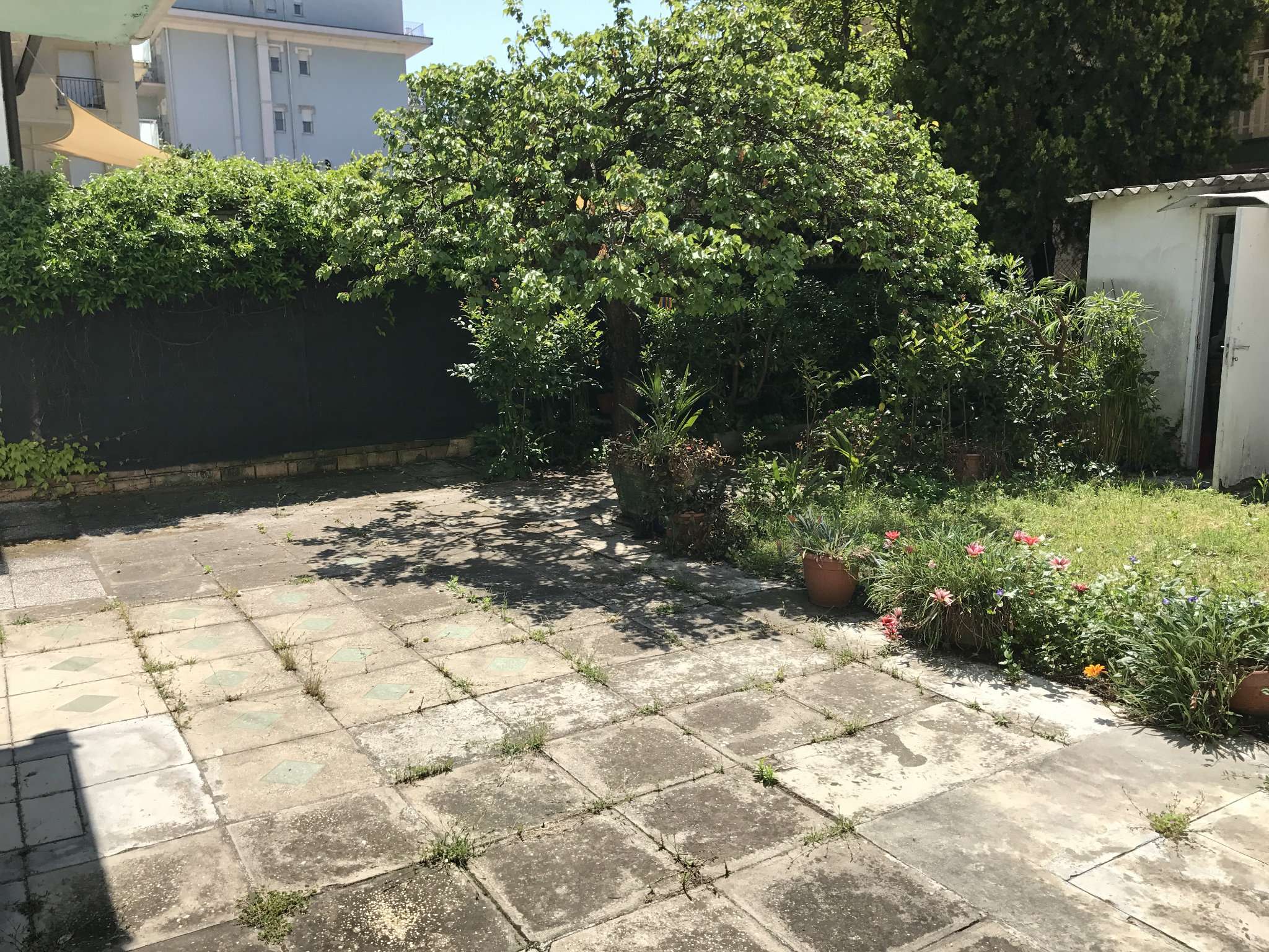 Villa Unifamiliare - Indipendente RICCIONE affitto    RD Immobiliare