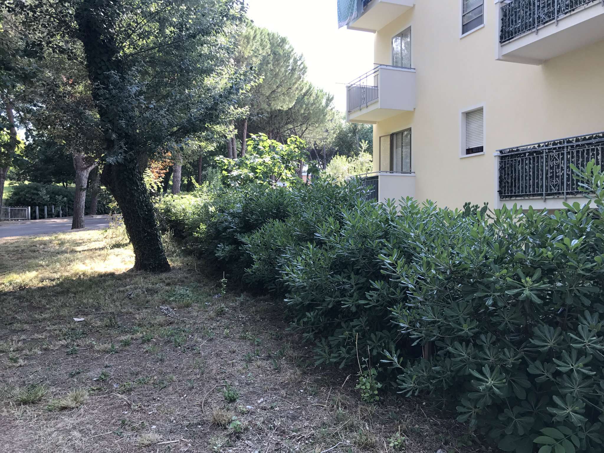 Appartamento RICCIONE vendita    RD Immobiliare