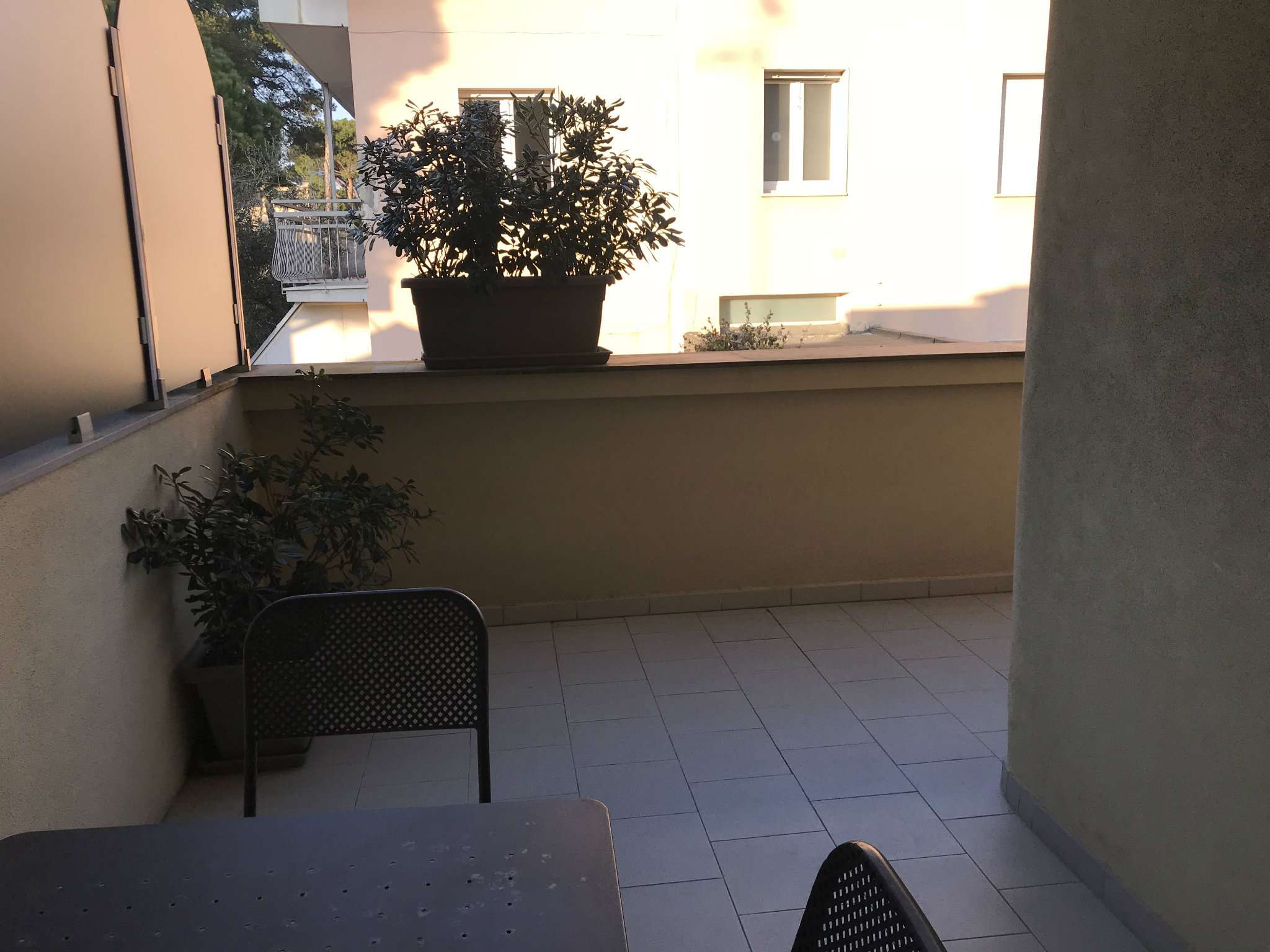 Appartamento RICCIONE vendita    RD Immobiliare