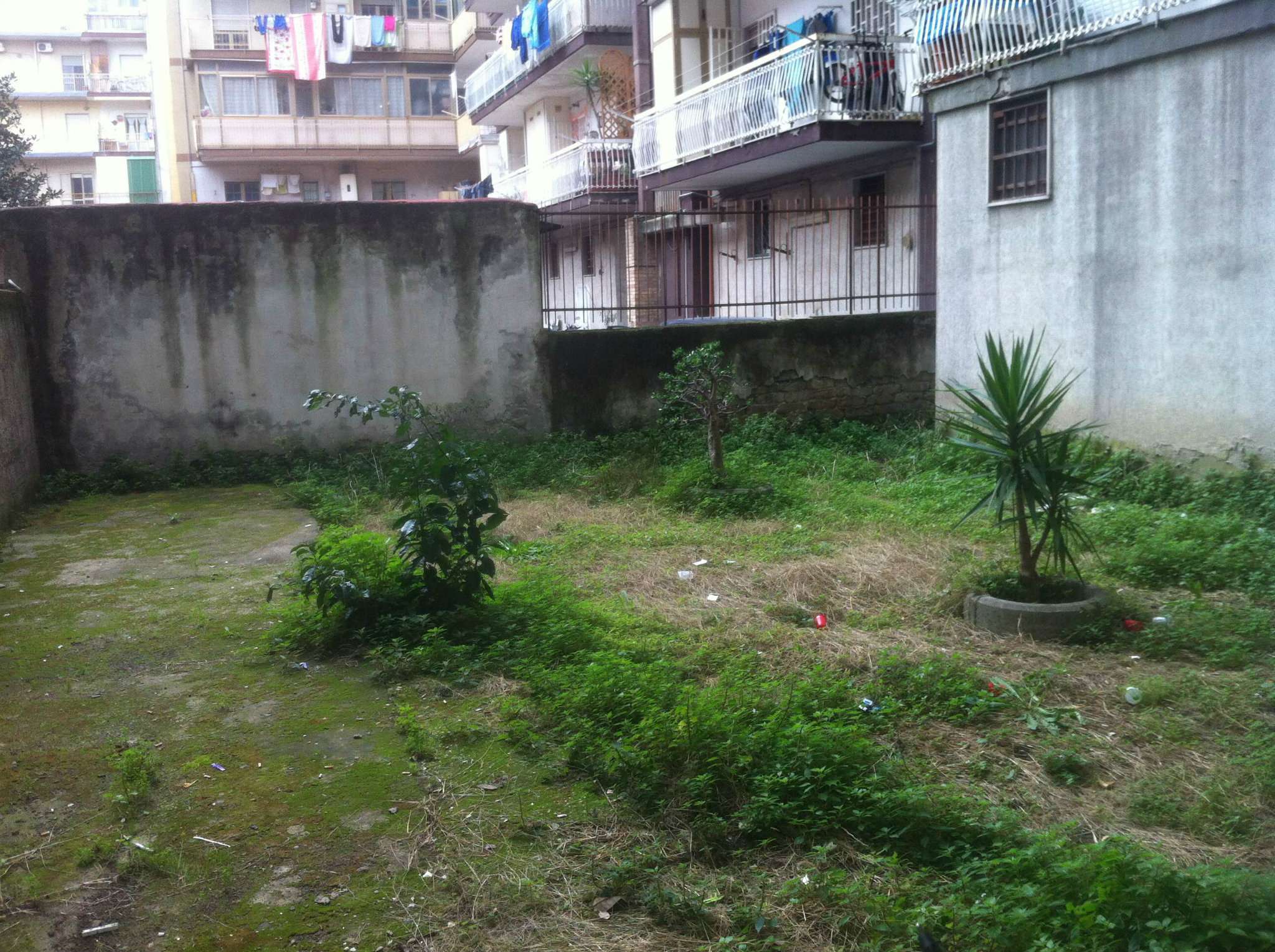Negozio - Loc.Com. NAPOLI affitto  PIANURA FRANCESCO ARNALDI Elireimmobiliare