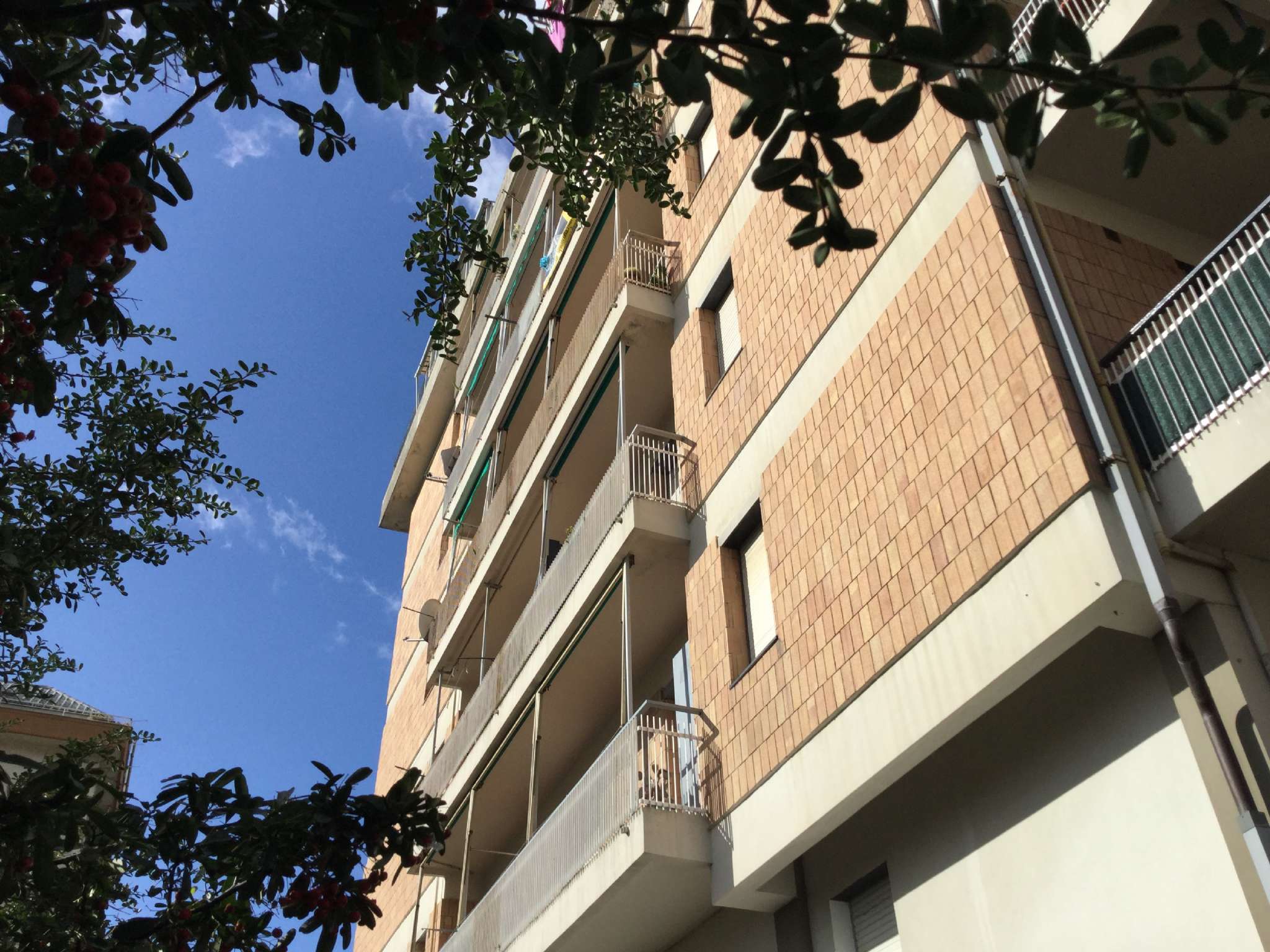 Appartamento LAVAGNA vendita    immobiliare Dal Molin