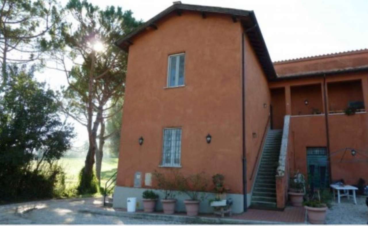 Appartamento ROMA affitto  CASTEL DI GUIDO (ZONA DELLA XVI MUN.) di Santa Maria di Galeria Alessandro Vitale