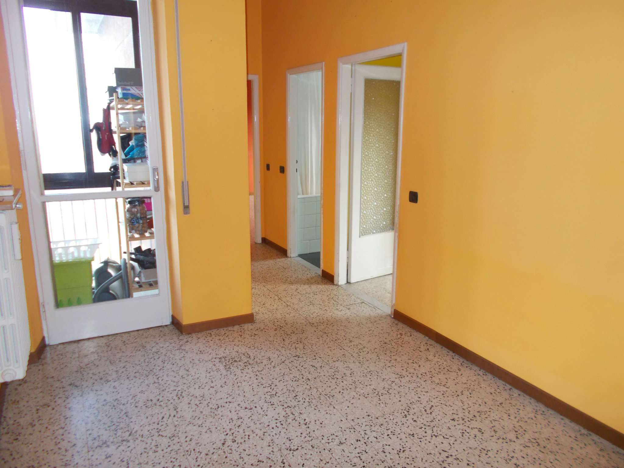 Appartamento PAVIA vendita   reale HG IMMOBILIARE SRL