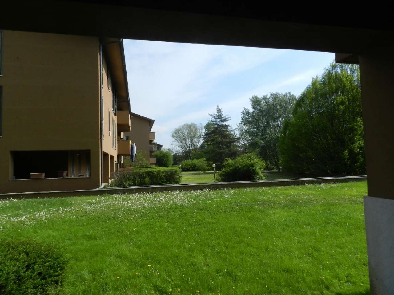 Appartamento PAVIA affitto   Strada Leona HG IMMOBILIARE SRL