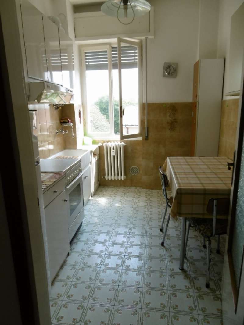 Appartamento PAVIA affitto   dei Mille HG IMMOBILIARE SRL