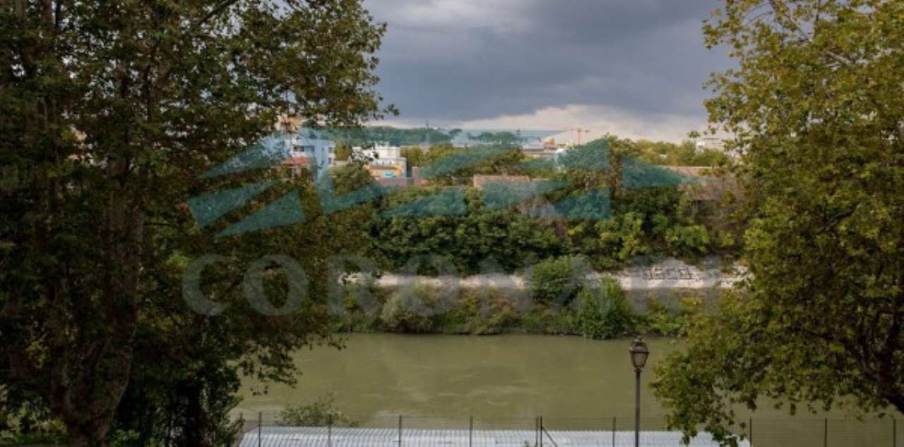 Appartamento ROMA vendita  TESTACCIO  Lungotevere Testaccio STUDIO IMMOBILIARE CORONARI SRL