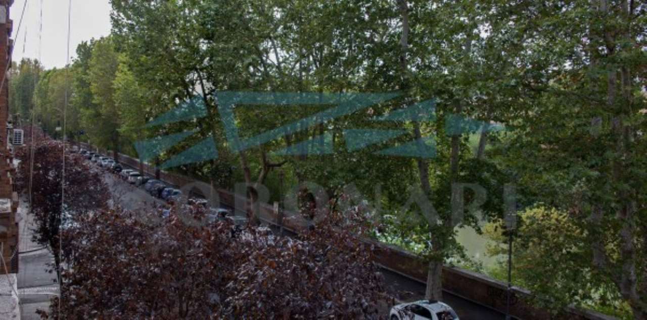 Appartamento ROMA vendita  TESTACCIO  Lungotevere Testaccio STUDIO IMMOBILIARE CORONARI SRL