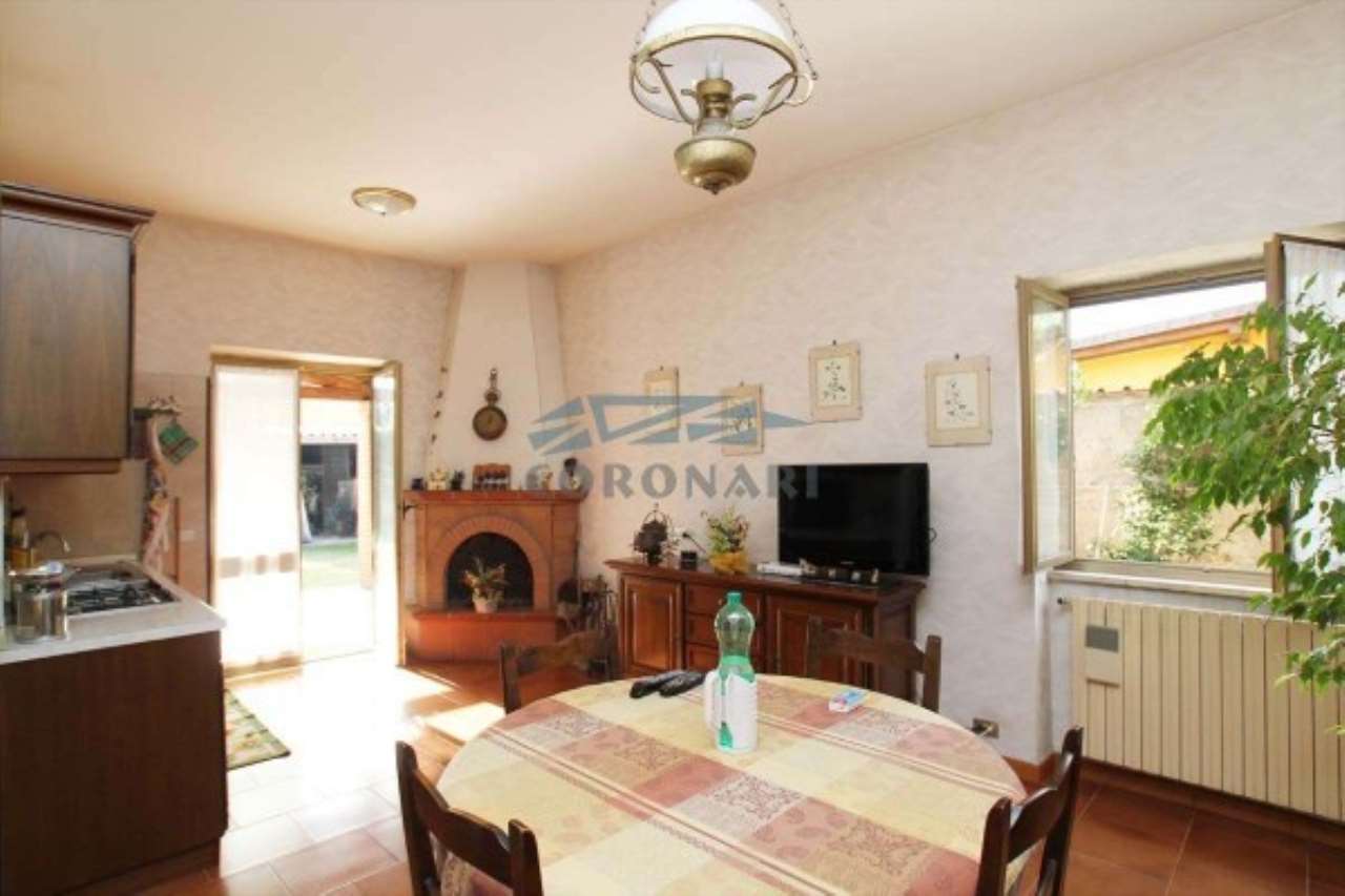 Villa FIUMICINO vendita   delle Patelle STUDIO IMMOBILIARE CORONARI SRL