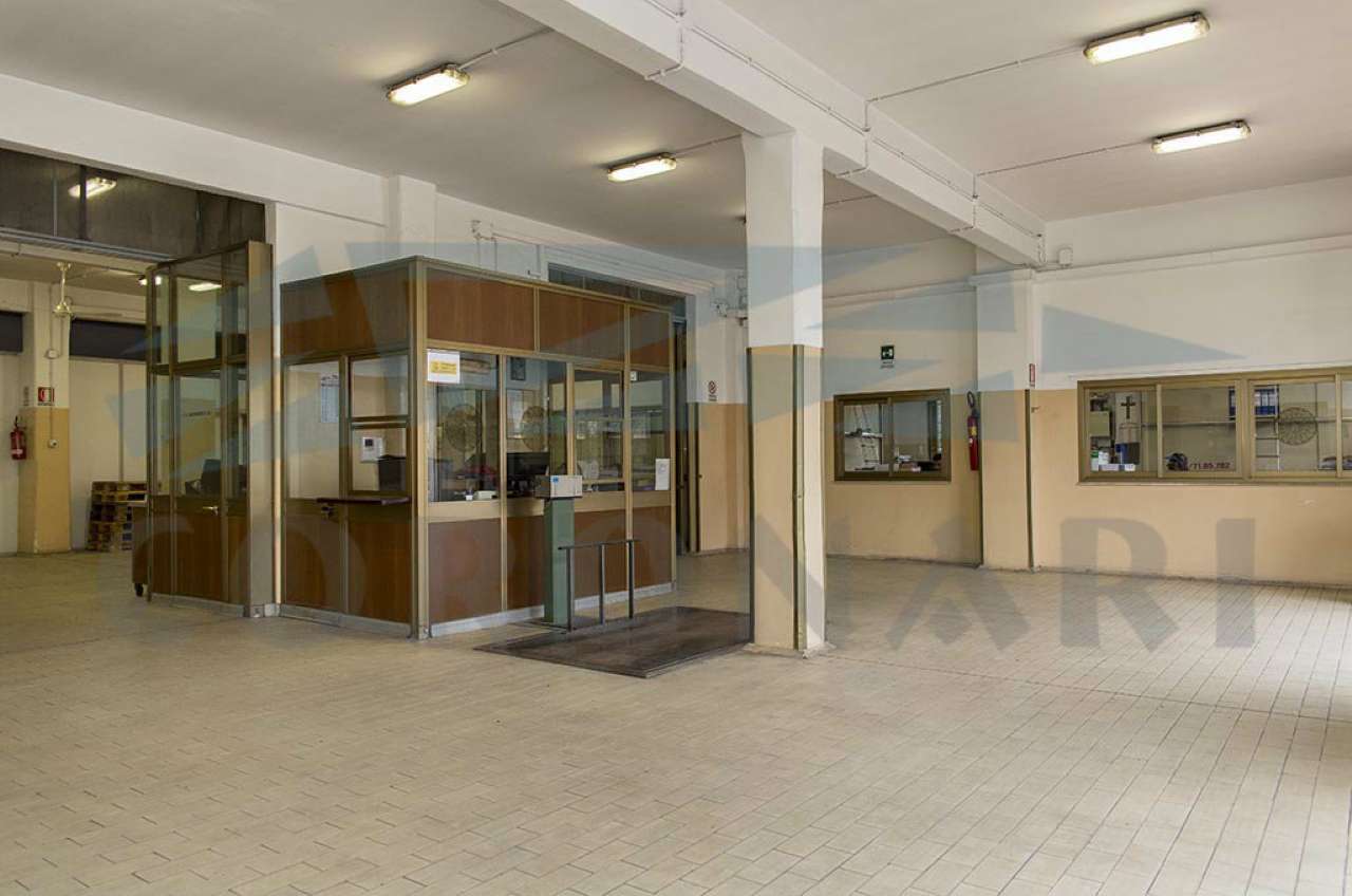  roma vendita quart: quarto miglio studio-immobiliare-coronari-srl