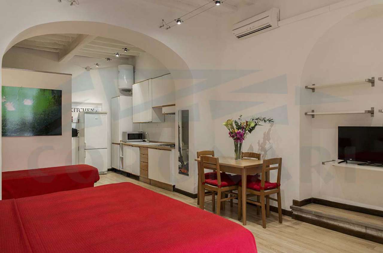 Loft ROMA vendita  Centro storico delle Palle STUDIO IMMOBILIARE CORONARI SRL