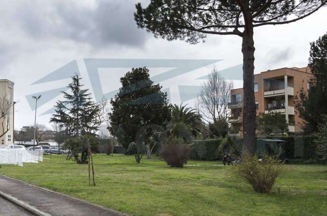 Appartamento ROMA vendita  GIANICOLENSE (XV MUN.) degli Antamoro STUDIO IMMOBILIARE CORONARI SRL