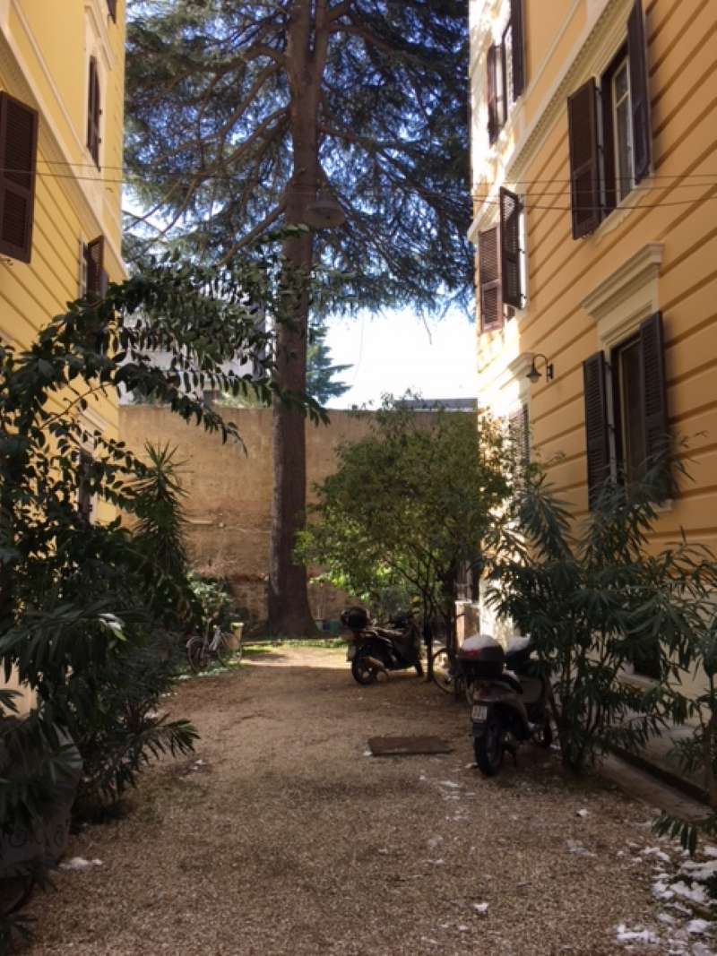 Ufficio - Loc.Com. ROMA affitto  TRIESTE (II MUN.) VIA TEVERE Case & Loft