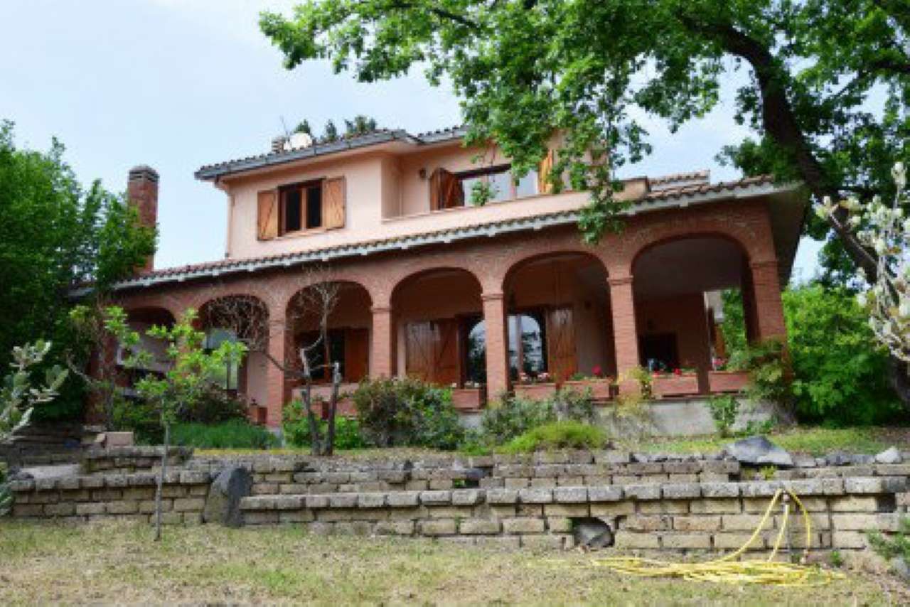 Villa Trifamiliare TREVIGNANO ROMANO vendita   via Poggio delle Ginestre Sivi Casa