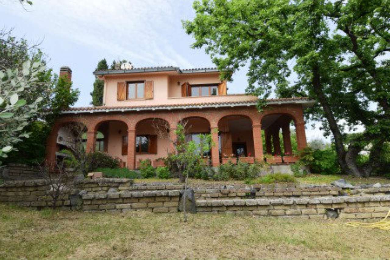 Villa Trifamiliare TREVIGNANO ROMANO vendita   via Poggio delle Ginestre Sivi Casa