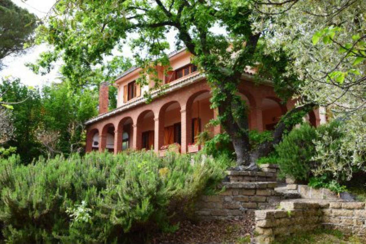 Villa Trifamiliare TREVIGNANO ROMANO vendita   via Poggio delle Ginestre Sivi Casa