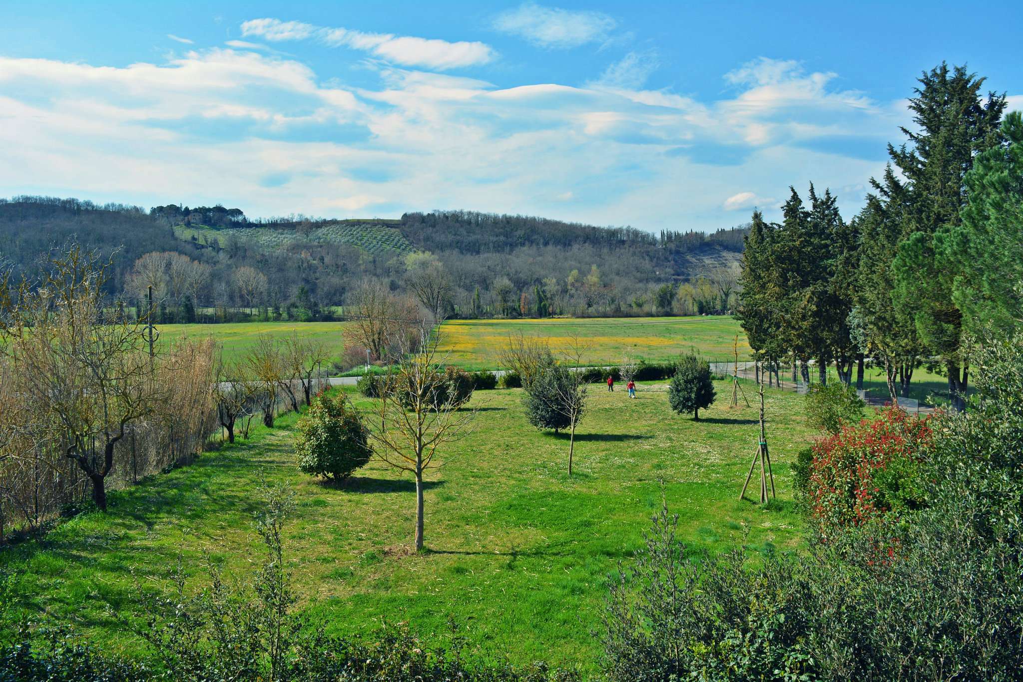 Rustico - Cascina VOLTERRA vendita    Volterracasa.it