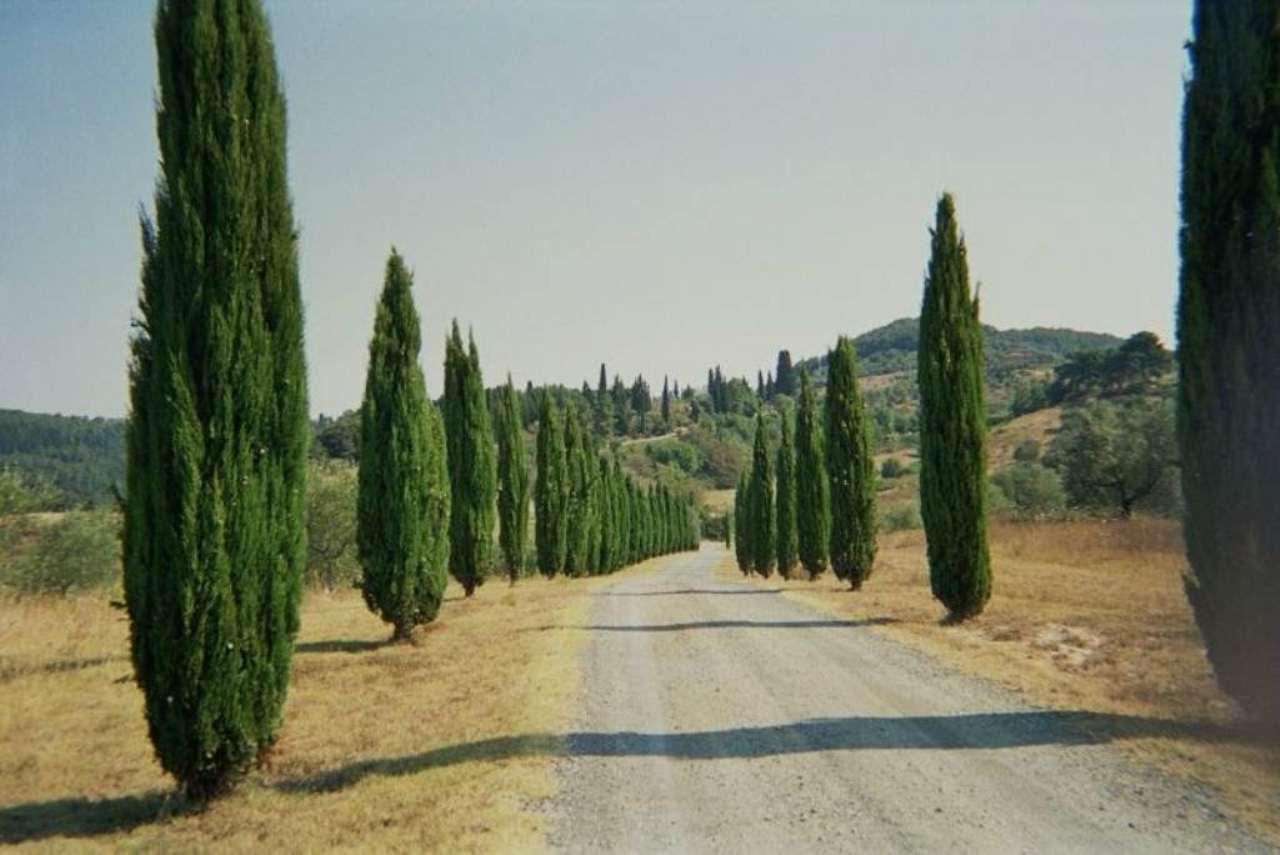 Rustico - Cascina MONTAIONE vendita    Volterracasa.it