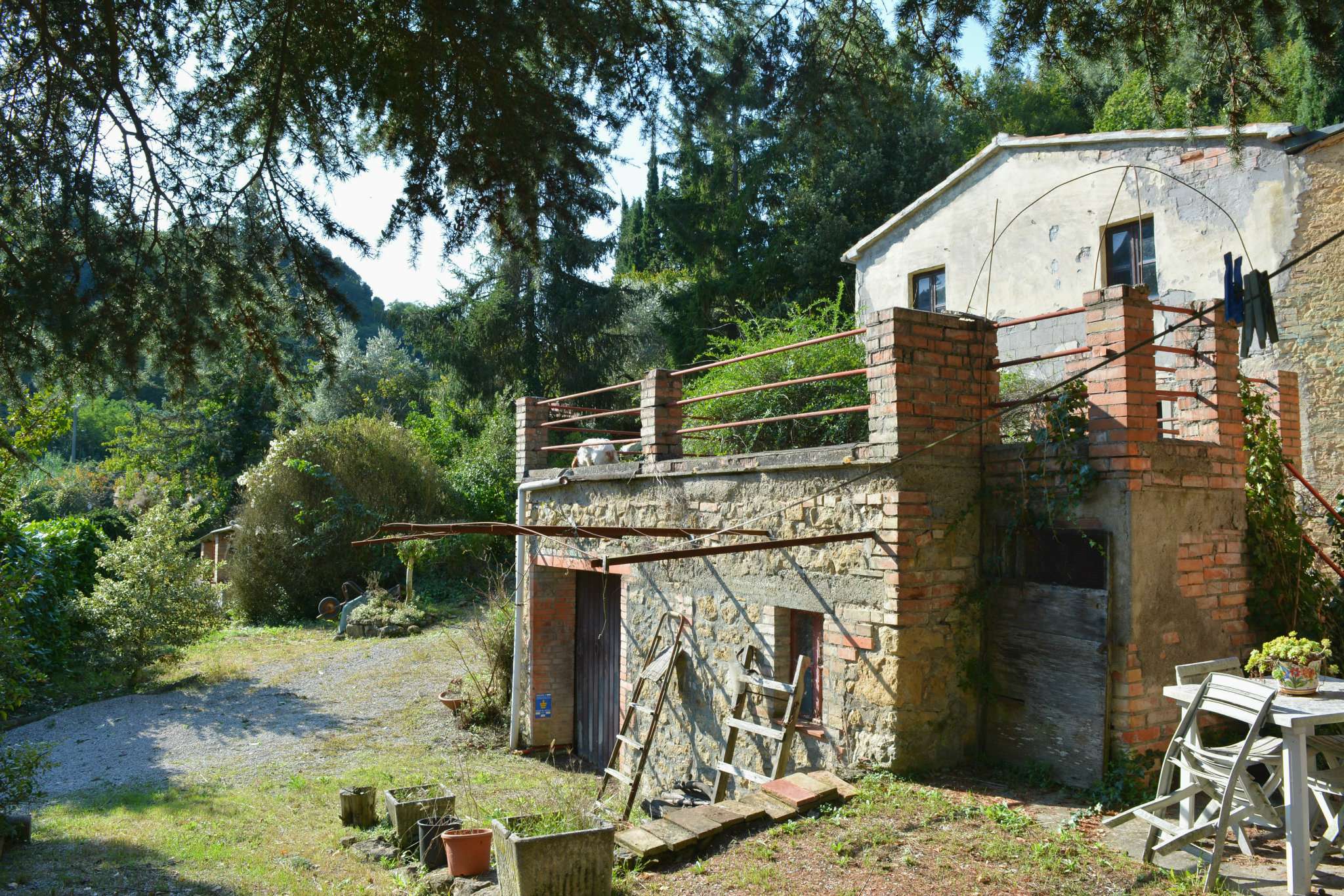 Rustico - Cascina VOLTERRA vendita    Volterracasa.it