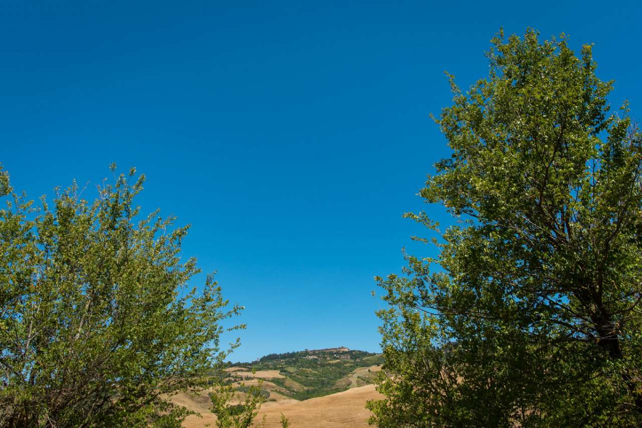 Rustico - Cascina VOLTERRA vendita    Volterracasa.it