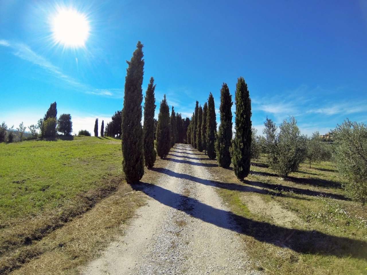 Rustico - Cascina CASALE MARITTIMO vendita    Volterracasa.it