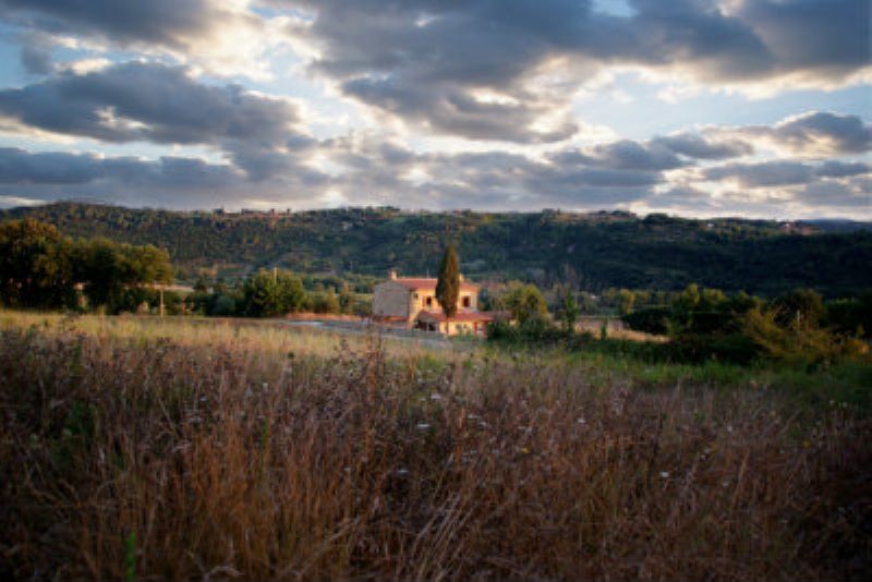 Rustico - Cascina MONTESCUDAIO vendita    Volterracasa.it