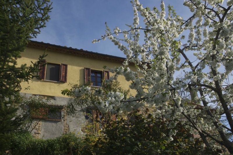 Rustico - Cascina VOLTERRA vendita   leccetino di sopra Volterracasa.it