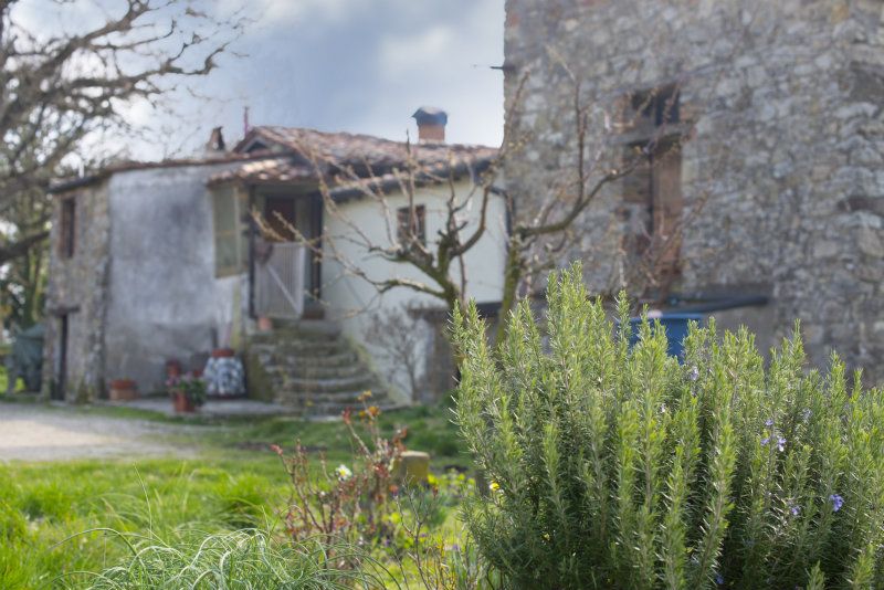 Rustico - Cascina CASTELNUOVO DI VAL DI CECINA vendita    Volterracasa.it