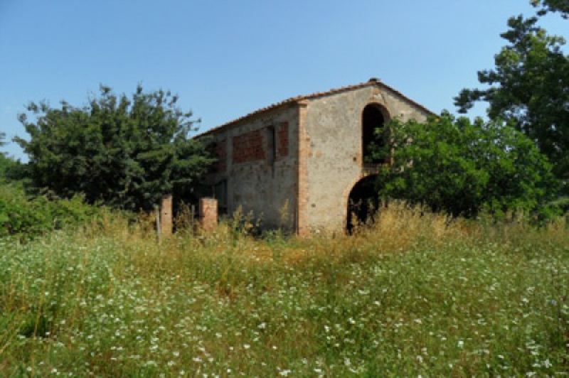 Vendita Rustico/Casale Lajatico campagna
